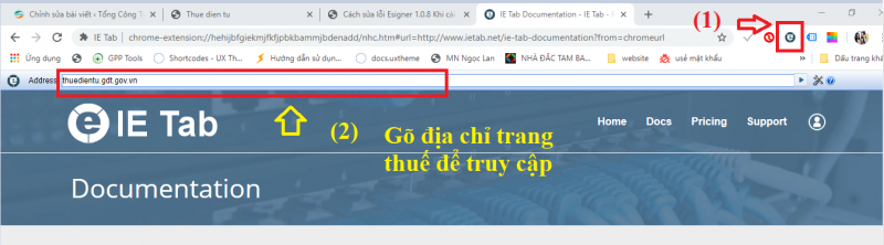 Sử Dụng Ietab để Truy Cập Thuedientu
